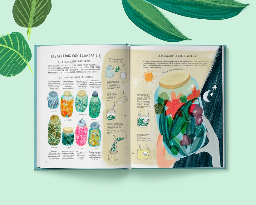 preparados con plantas