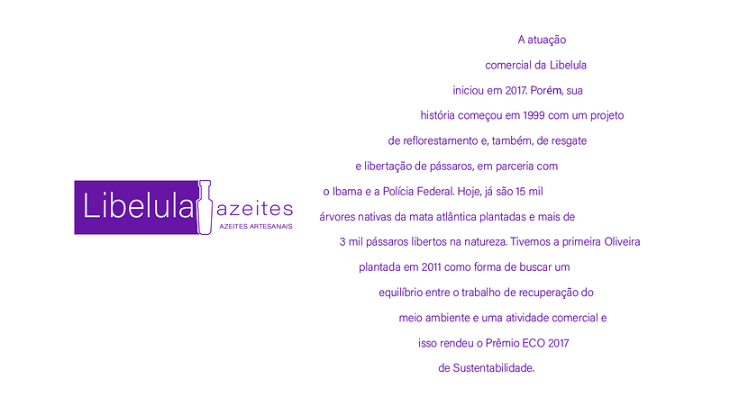 Identidade Visual+ Branding 0