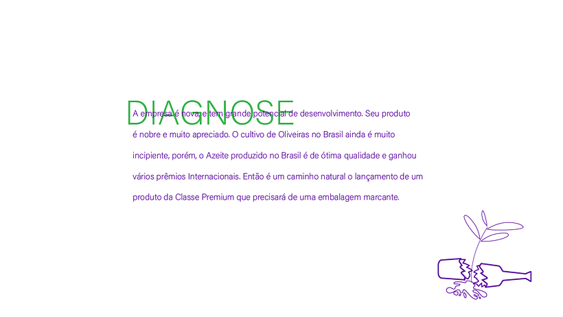 Identidade Visual+ Branding 1