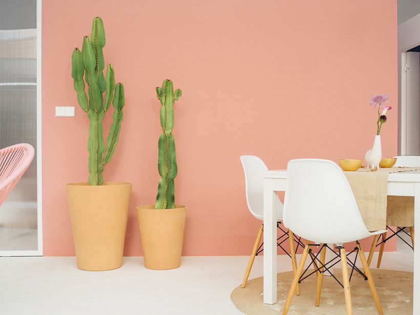 Interiors 1