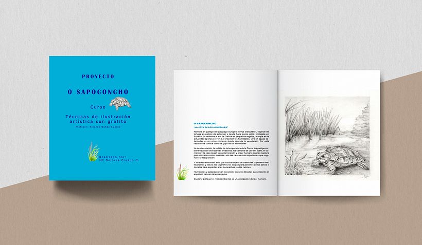 O sapoconcho. La joya de los humedales Proyecto curso Técnicas de ilustración artística con grafito