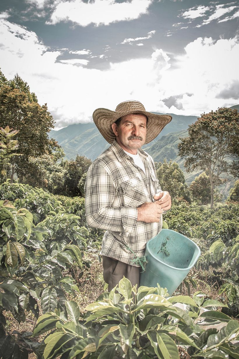 Cafeteros, Juan Valdez 6