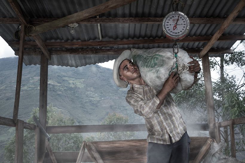 Cafeteros, Juan Valdez 9