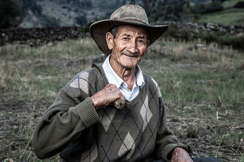 Trigo, un producto ancestral que se esta perdiendo 0