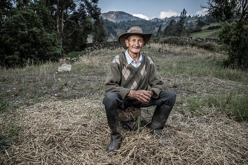 Trigo, un producto ancestral que se esta perdiendo 1