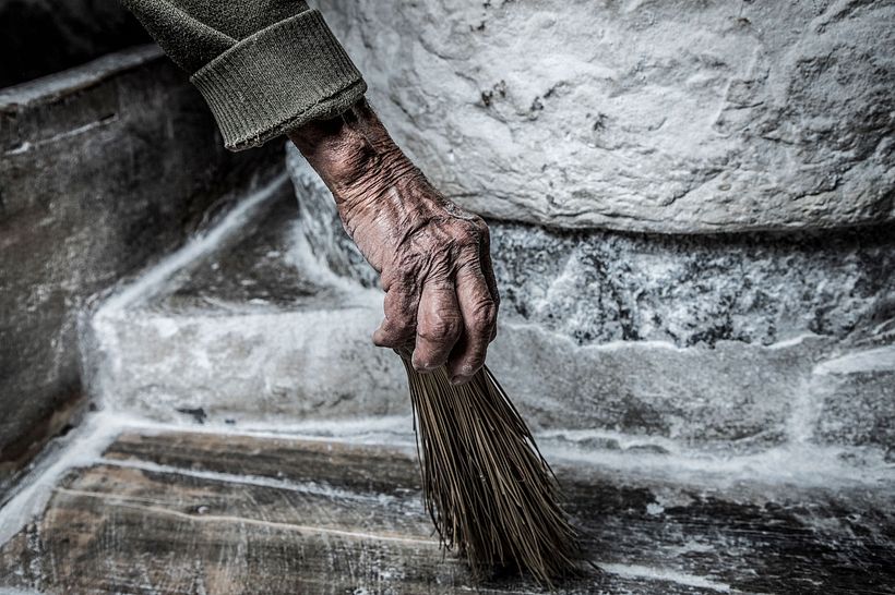 Trigo, un producto ancestral que se esta perdiendo 8