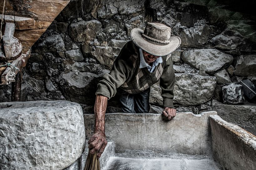 Trigo, un producto ancestral que se esta perdiendo 20