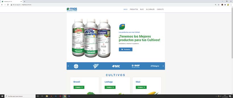 Masmas - Web Design