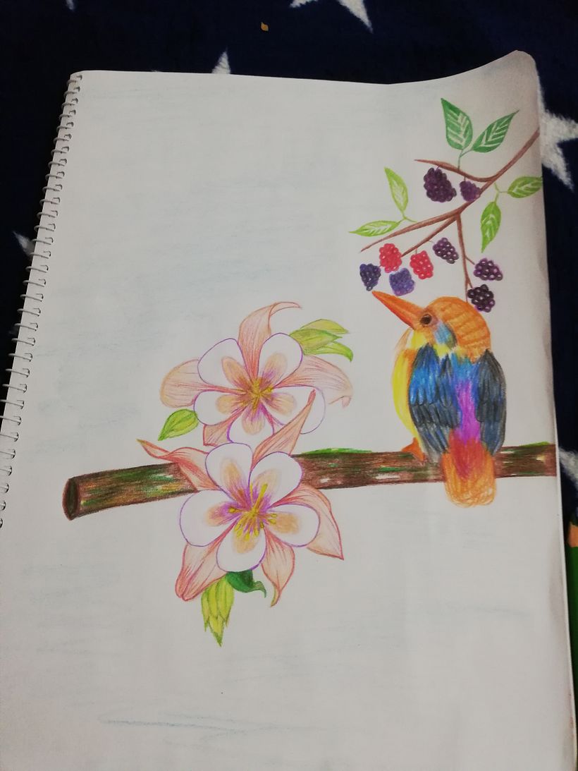 Reto Ilustración: 31 días, 31 dibujos 1