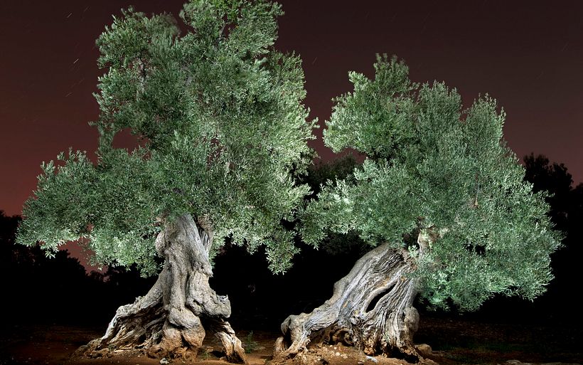 Alejandro Chaskielberg