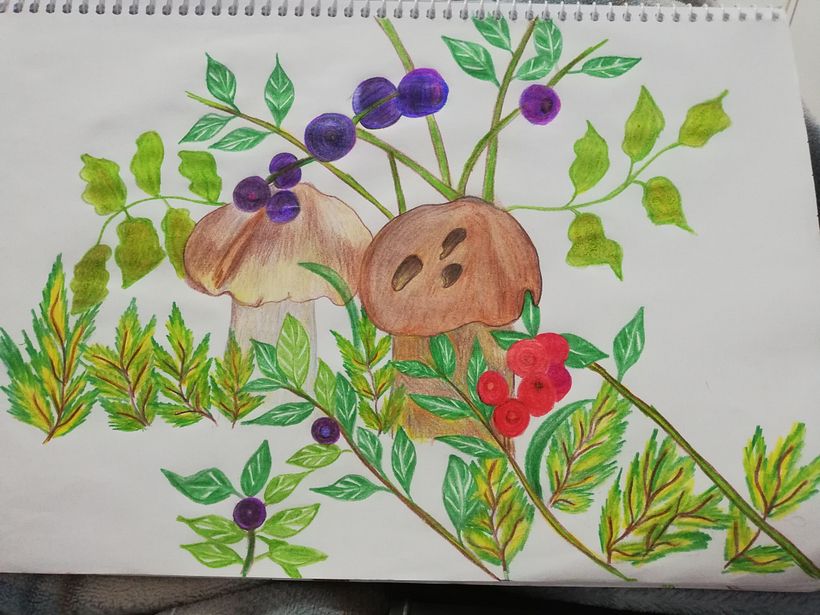 Reto Ilustración: 31 días, 31 dibujos 1