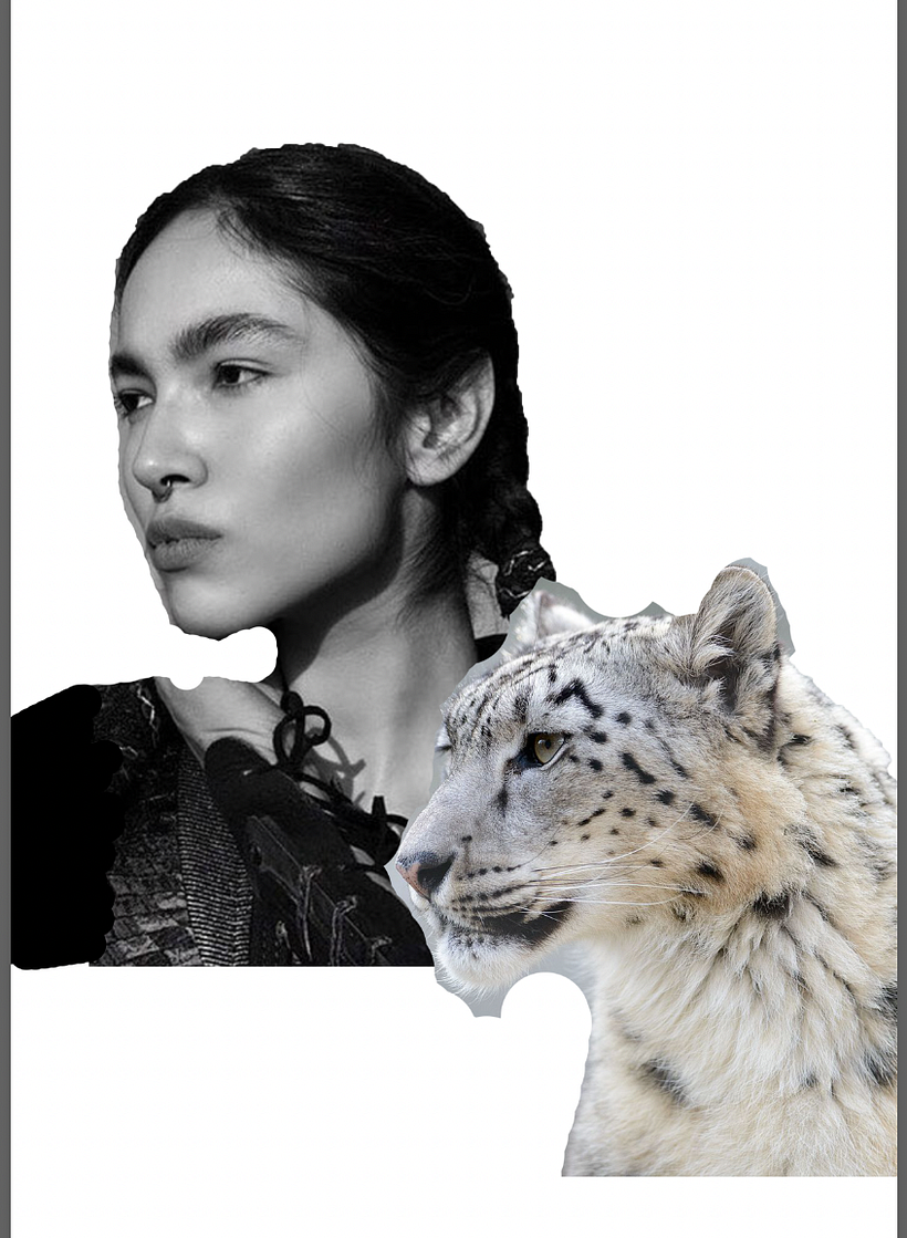 Initially planned to have snow leopard, however in the end composition looked overcrowded. 