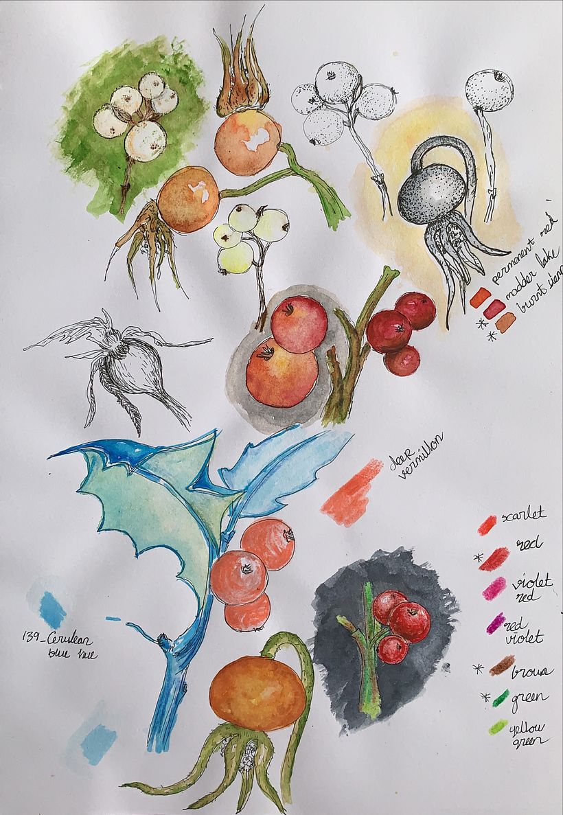 Berries illustrated with different painting techniques.