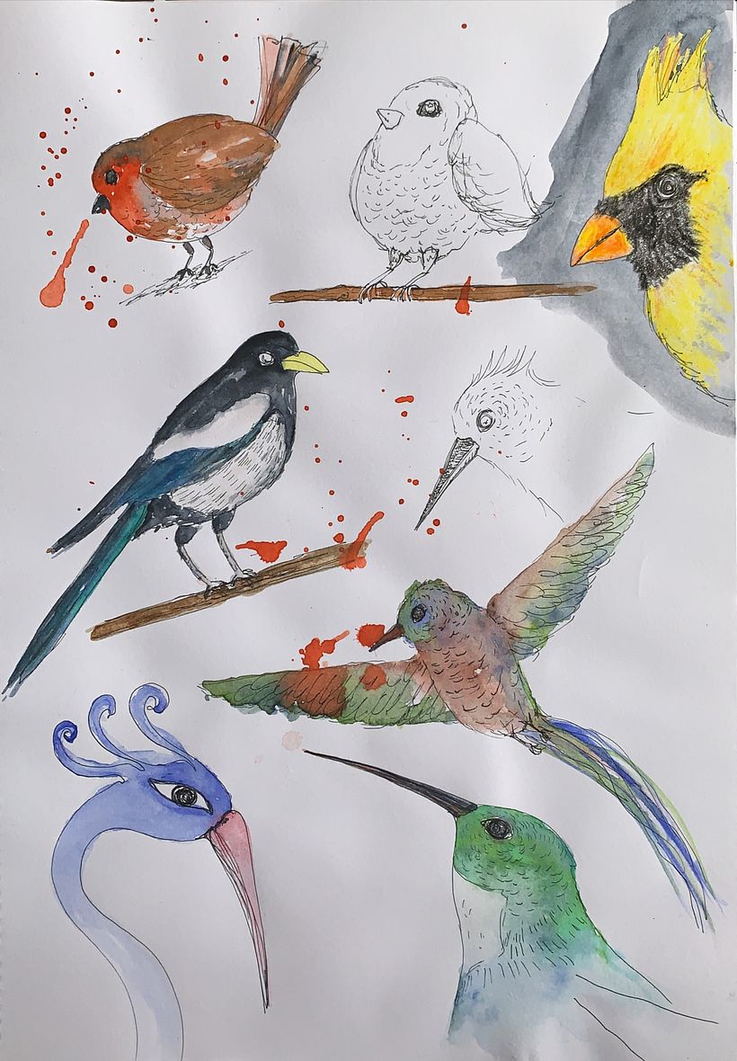 Birds illustrated with different techniques.