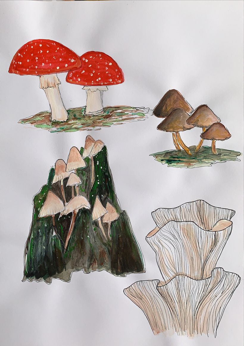 Mushrooms coloured with acrylic paint