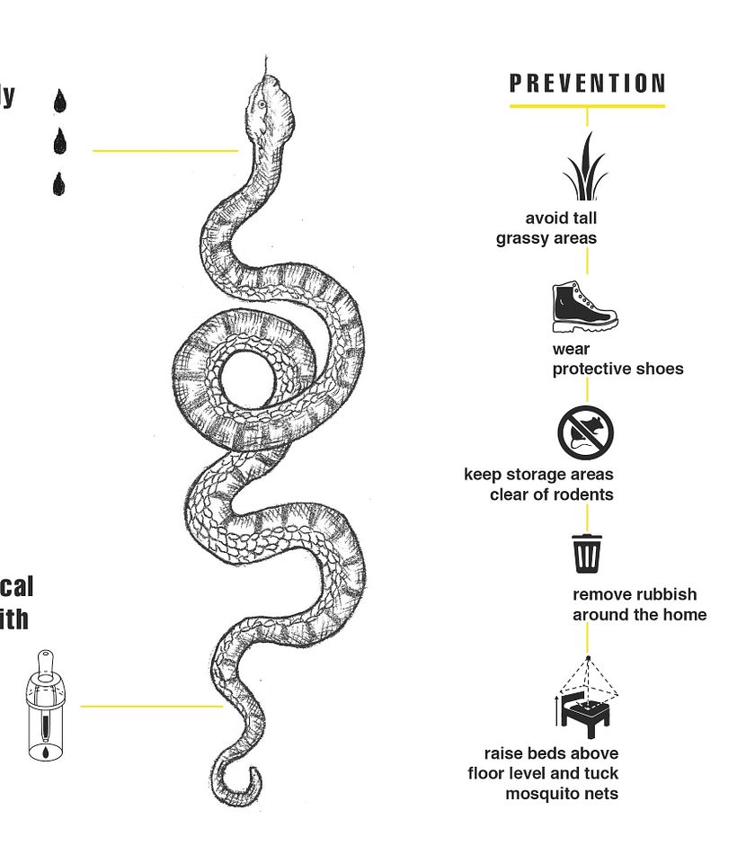 Infographic 8