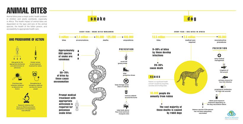 Infographic 7