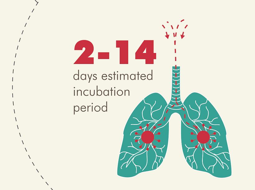 Infographic 11