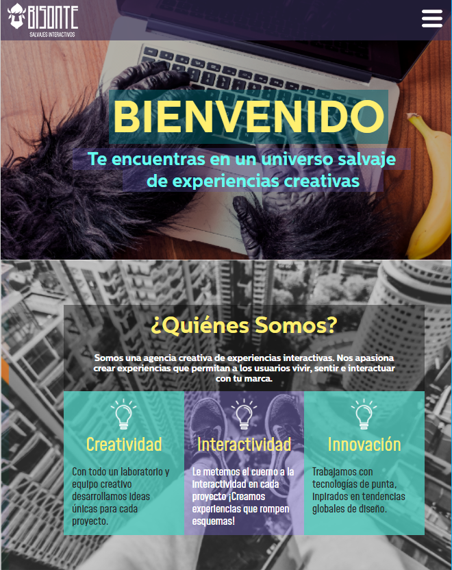 navigation responsive