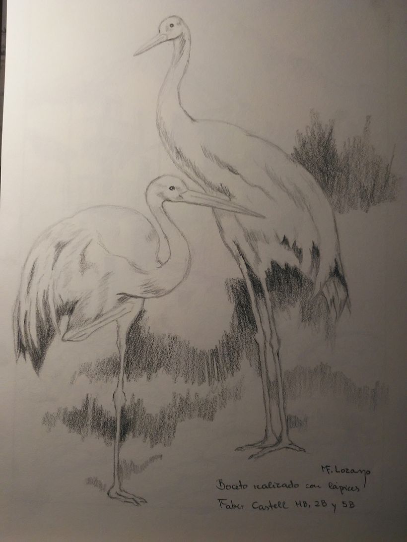 Reto Ilustración: 31 días, 31 dibujos 1