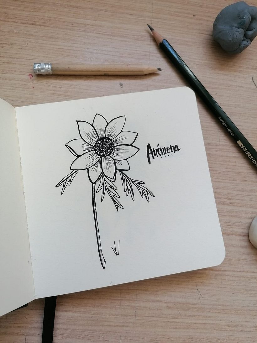 Dia 31