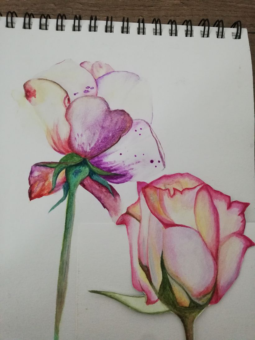 Reto Ilustración: 31 días, 31 dibujos 1