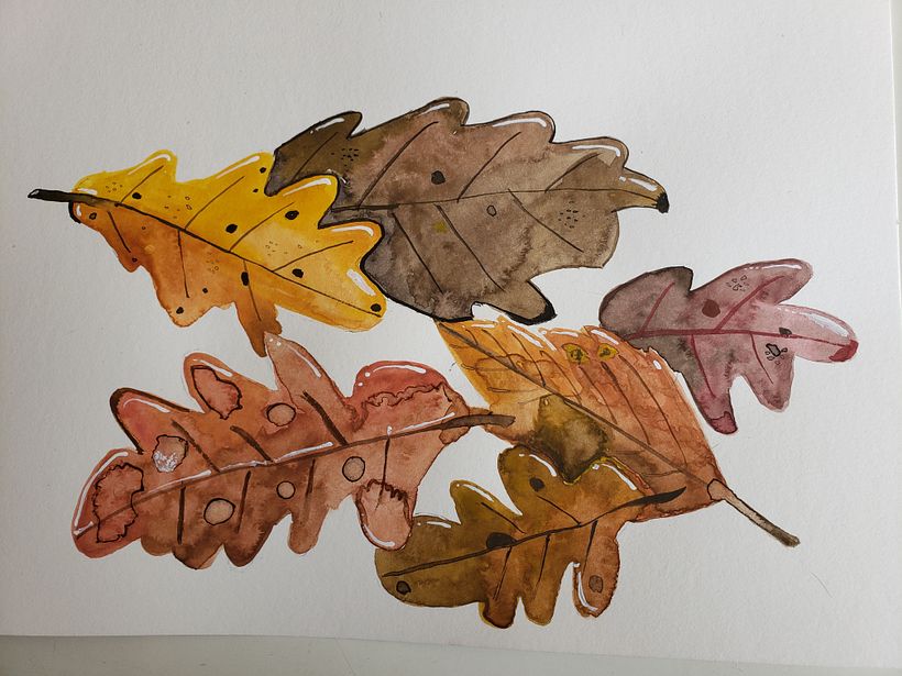 Meu projeto do curso: Criação de paletas de cores com aquarela 1