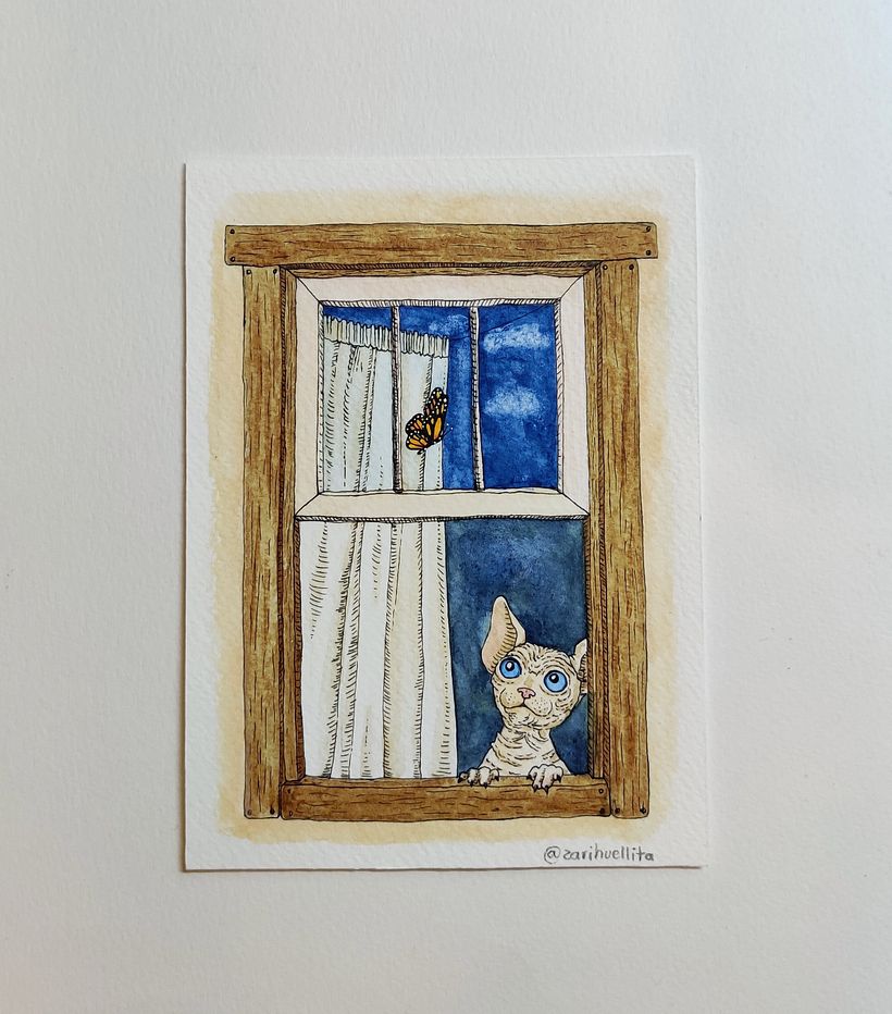 Día 29 Ventana 