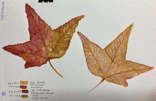My project in Botanical Watercolor Sketchbook course 0