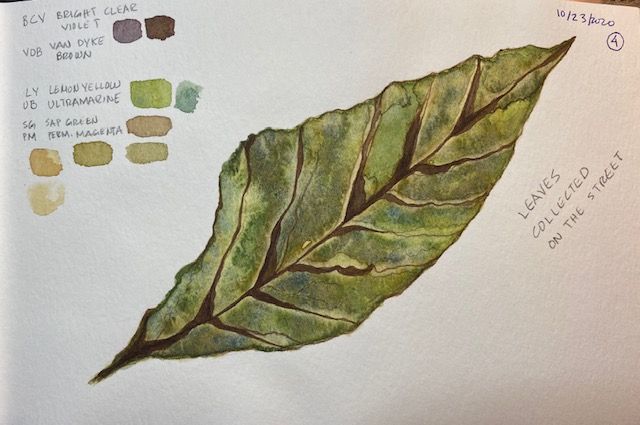 My project in Botanical Watercolor Sketchbook course 1