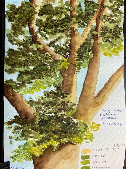 My project in Botanical Watercolor Sketchbook course 2