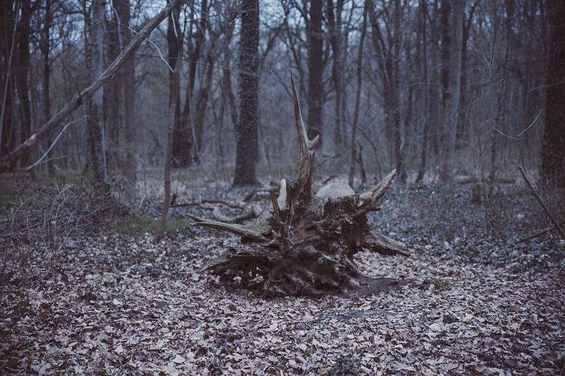 Lieber Geist (2016) / Querido Fantasma 7