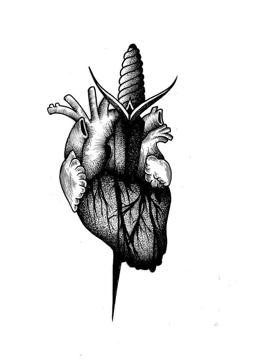 Illustration archives: various 7