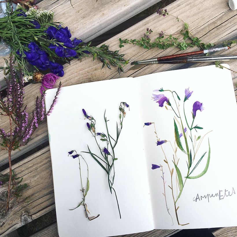 Sketchbook: Hippie Summer 10