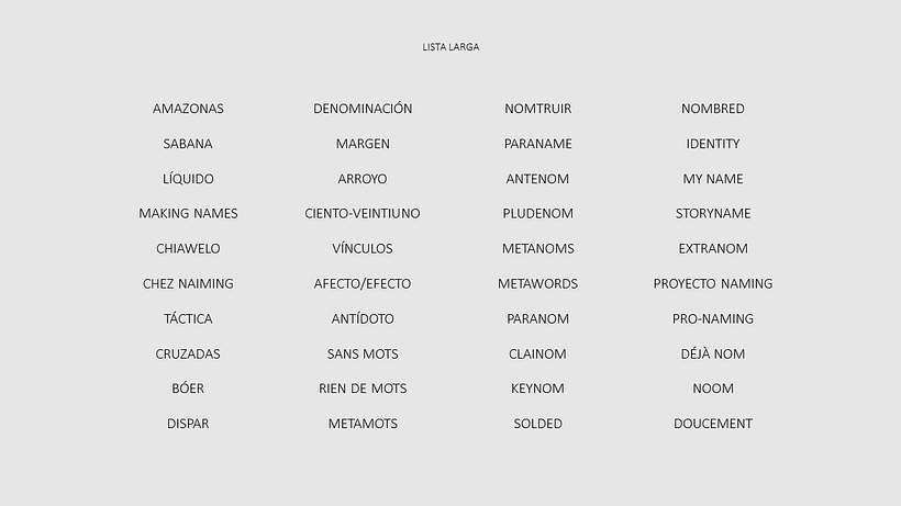 Naming para un estudio "Namer" 3