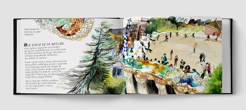 Banco de la Plaça de la Natura.