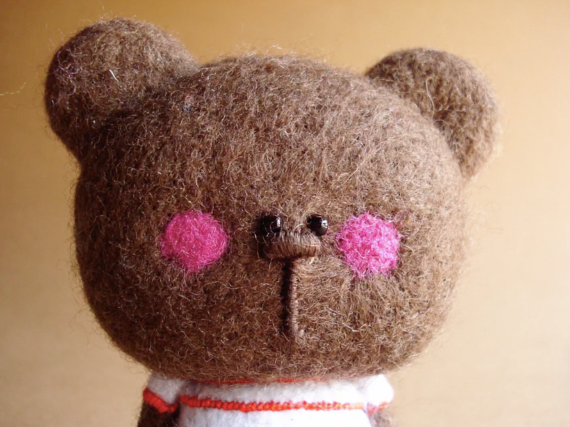 Teddy Bear Jr., droolwool