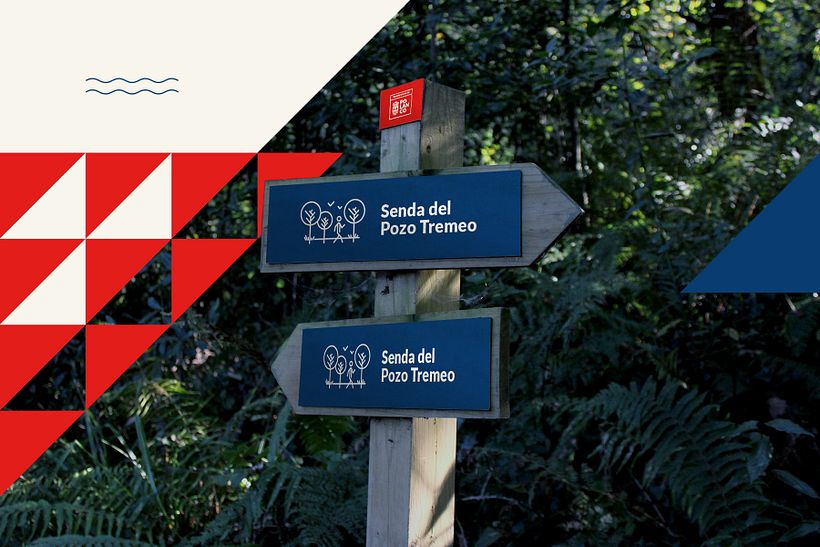 Ayuntamiento de Polanco 16