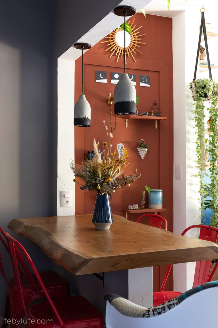 Tudo que você precisa saber sobre as melhores plantas para sua casa! 0