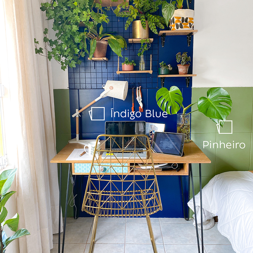 Como começar uma URBAN JUNGLE na sua casa 2