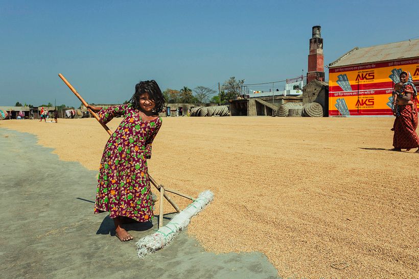 Trabajadores del Arroz 1