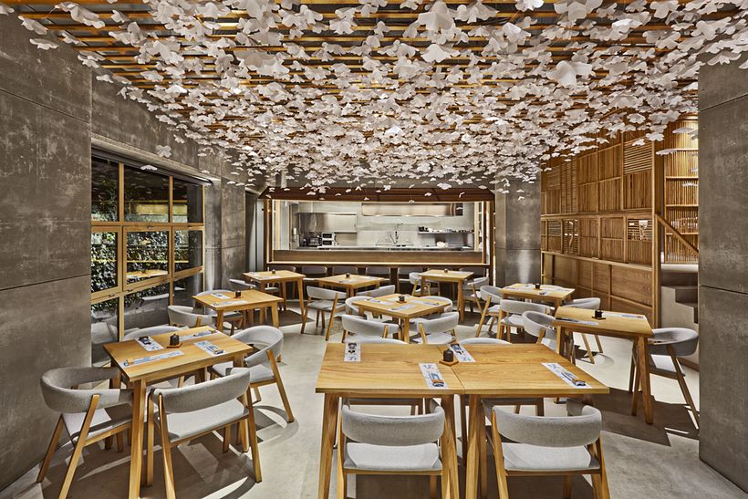 Nozomi Sushi Bar 5