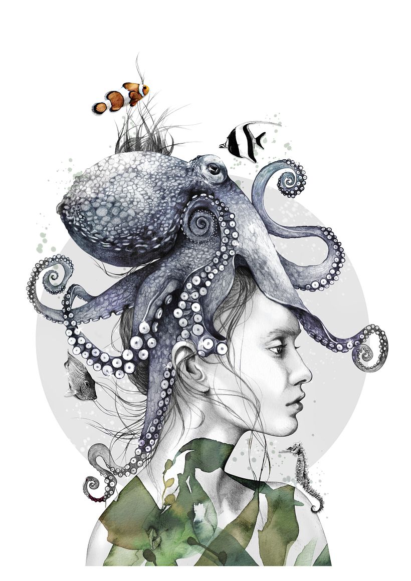 Octopus Vulgaris Illustration 0