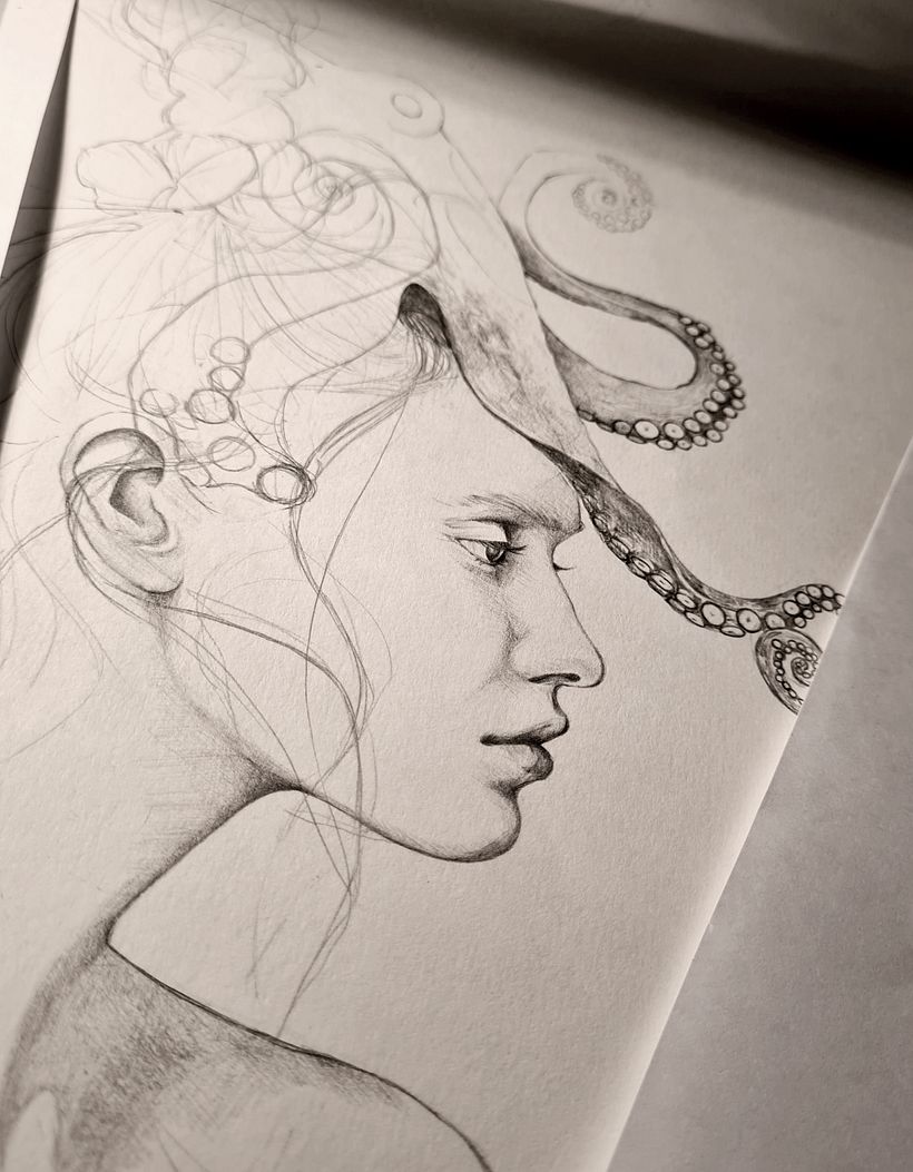 Octopus Vulgaris Illustration 1