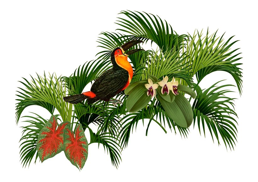 Mi Proyecto del curso: Estampado textil con técnicas digitales 2