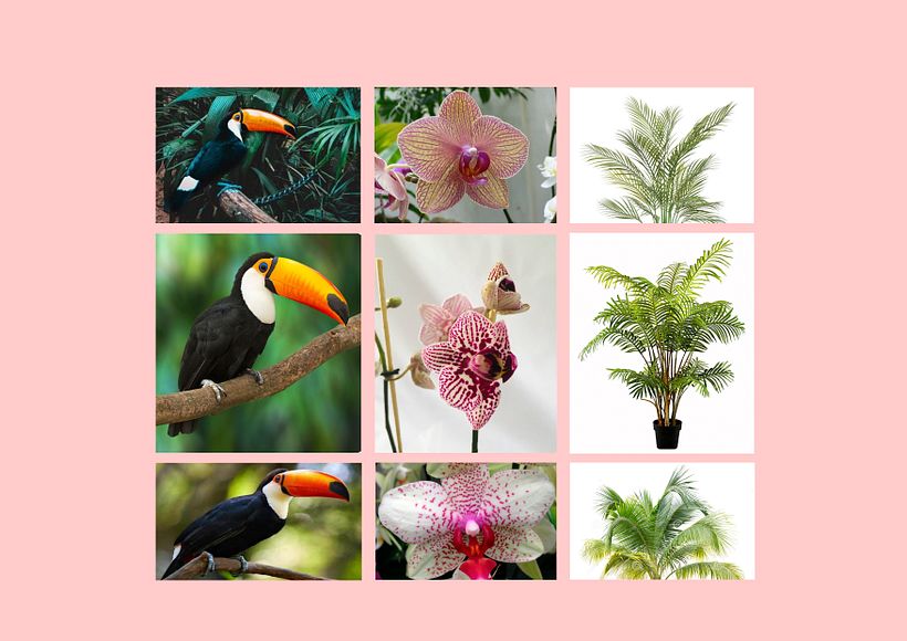 Mi Proyecto del curso: Estampado textil con técnicas digitales 1