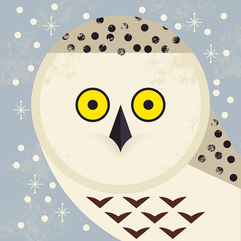 Djeco Activity (Tableaux Duo) 5