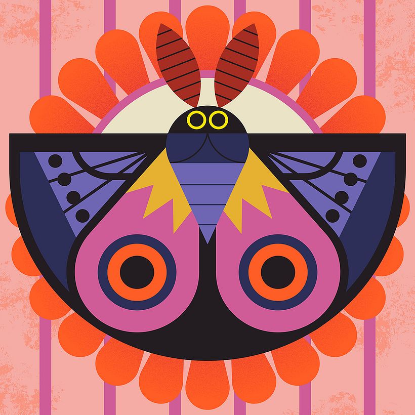 Djeco Activity (Tableaux Duo) 3