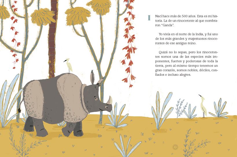 El Rinoceronte de Durero 2