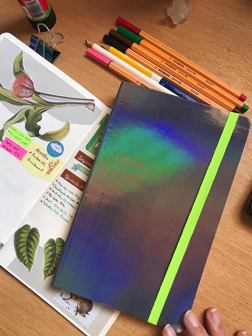 Meu caderno para esse projeto